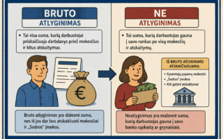 kas yra bruto ir ne atlyginimas paaiskinimas