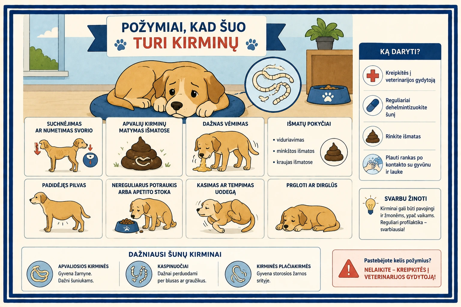 Šuo turi kirminų